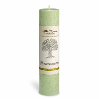 Geist der Bäume- Herzenswärme